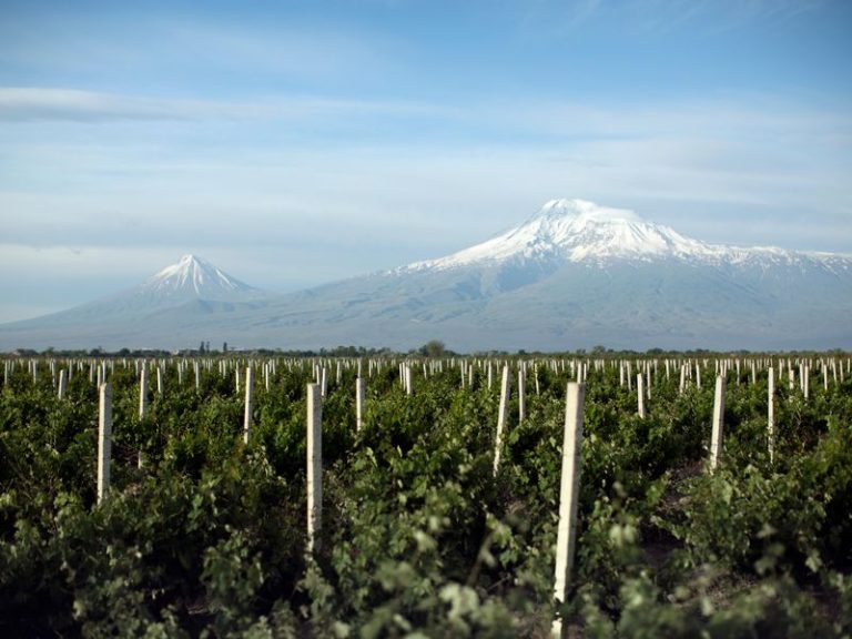 Armenian Wine Country