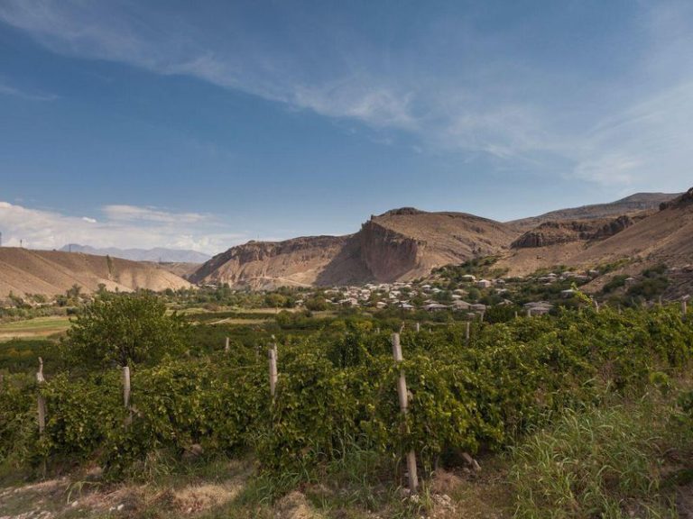 In One of the World’s Oldest Winemaking Regions, a New Generation Revives an Ancient Tradition