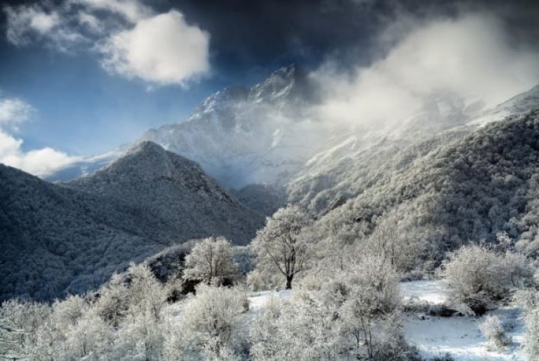 هایک بارسقیان عکاس ارمنی یکی از برندگان مسابقه عکس قاب Planet Earth Life